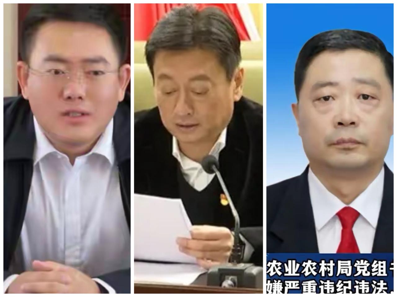 吉林辽源市，东丰县的大小蚂蚱串串儿了哈！