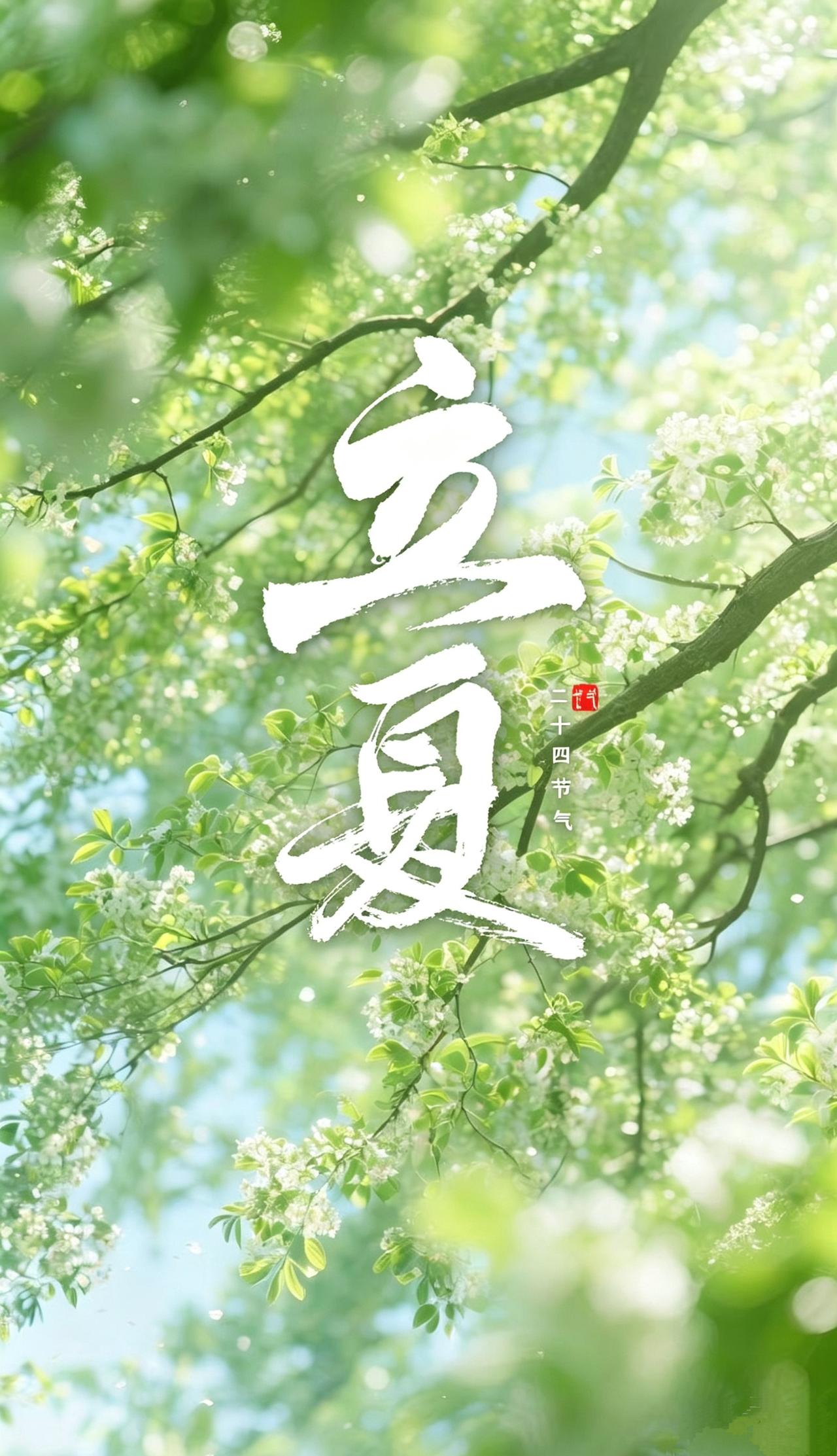 立夏｜南风拂岸，人间初夏
 
时序轮转，倏忽立夏。
暖风漫过街巷，吹尽暮春余韵，