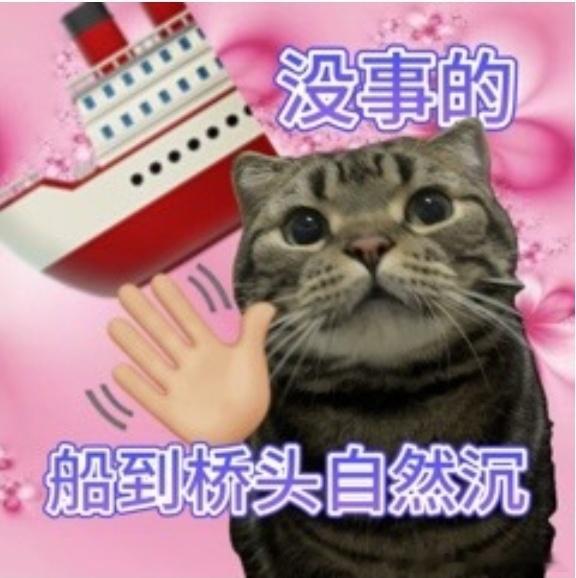 我对明天belike 