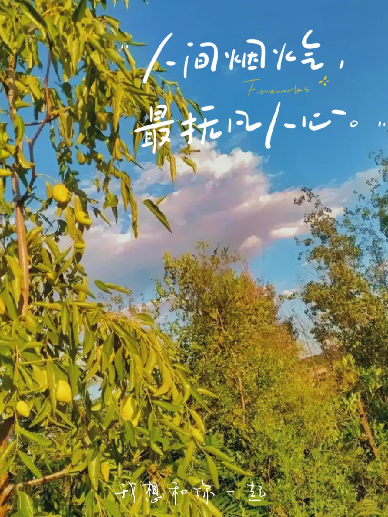 周末绕着村边的绿道走了一圈，风裹着清香的味道往脸上扑，阳光晒在身上软乎乎的，没有