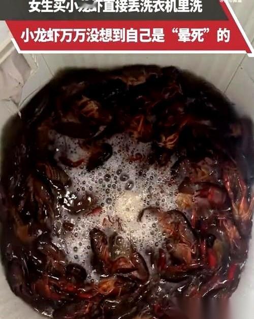 贵州一个女人的操作，直接给我看不会了。
她从市场拎回一盆活蹦乱跳的小龙虾，准备晚