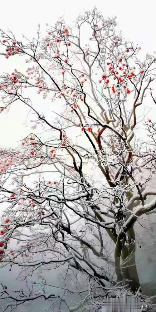 光阴荏苒，岁月如梭。回首往事，感慨万千。逝去了韶华，留下了沧桑......