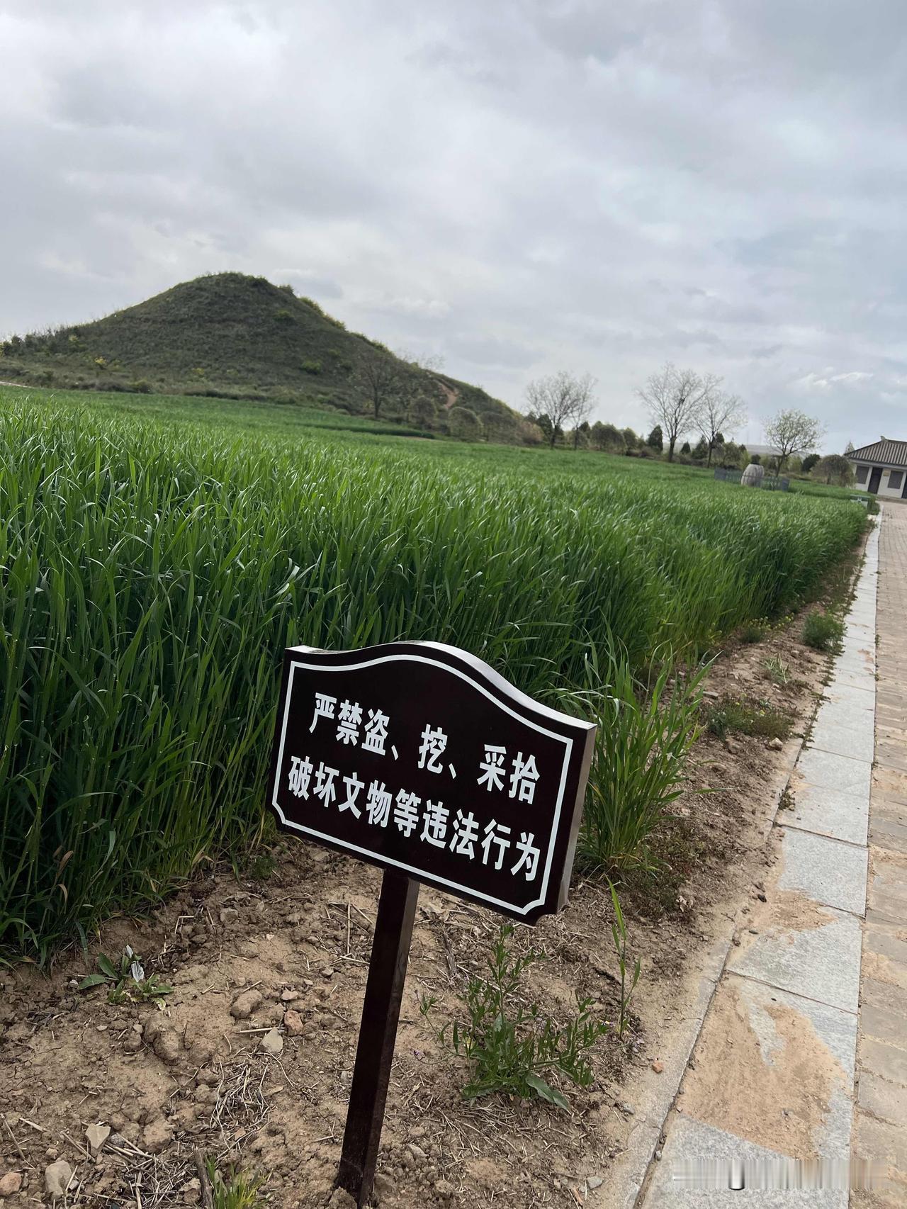 一个地方能有多少宝贝埋在地下，到处都看到“严禁盗、挖、采拾破坏文物都违法行为”这