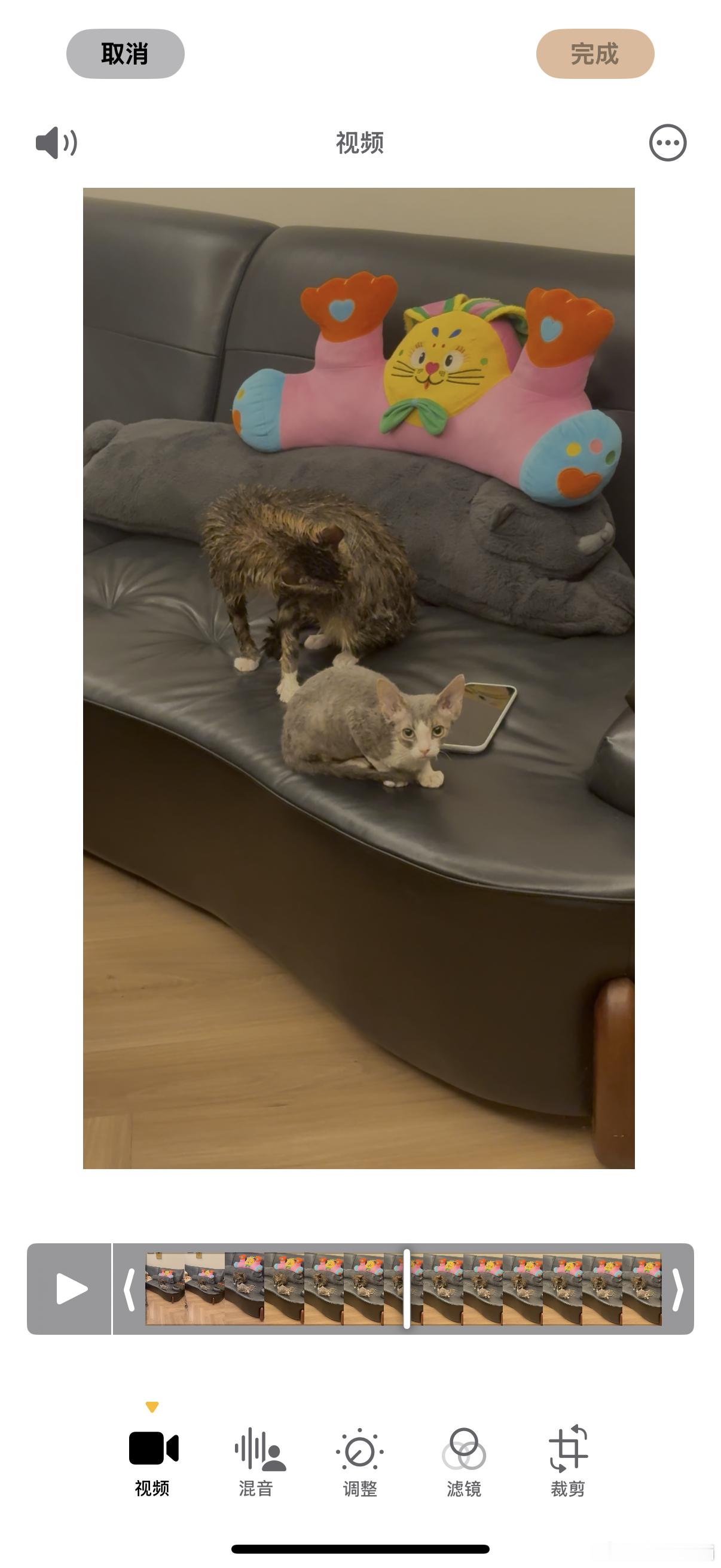 香香 ​​​
