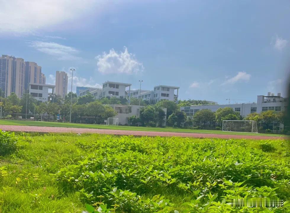 2024年南宁二中第一届草坪音乐节，看看节目单有你家孩子名字吗？