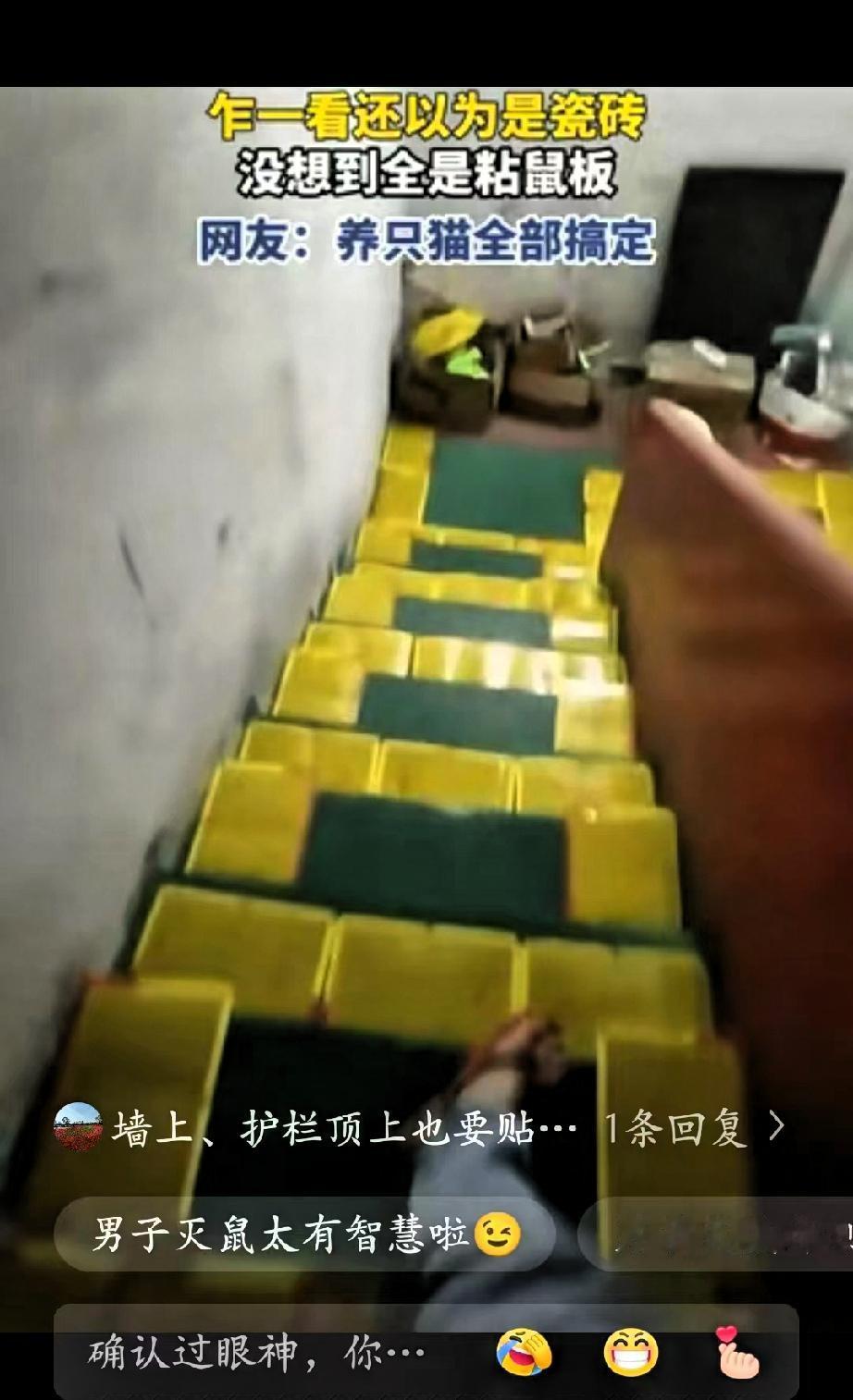 “人怎么可以这么聪明！”广东东莞，一男子因地下室老是被老鼠偷吃杂物垃圾，男子忍无
