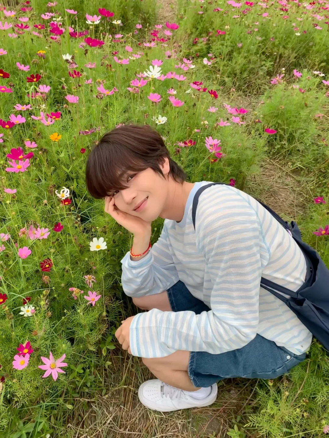 误入花海，被治愈了～🌸