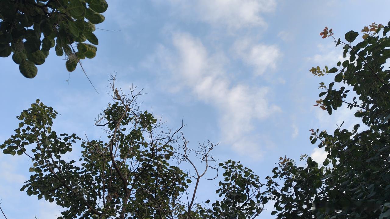 人到中年想翻身，就要守住这10条底线，越早知道越好！
 
人过了半辈子慢慢明白，