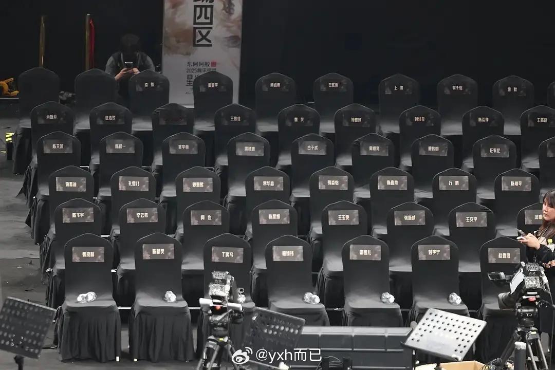 第一排：张凌赫 陈都灵 丁禹兮 鞠婧祎 宋祖儿 刘宇宁 赵露思 檀健次 白鹿 孟