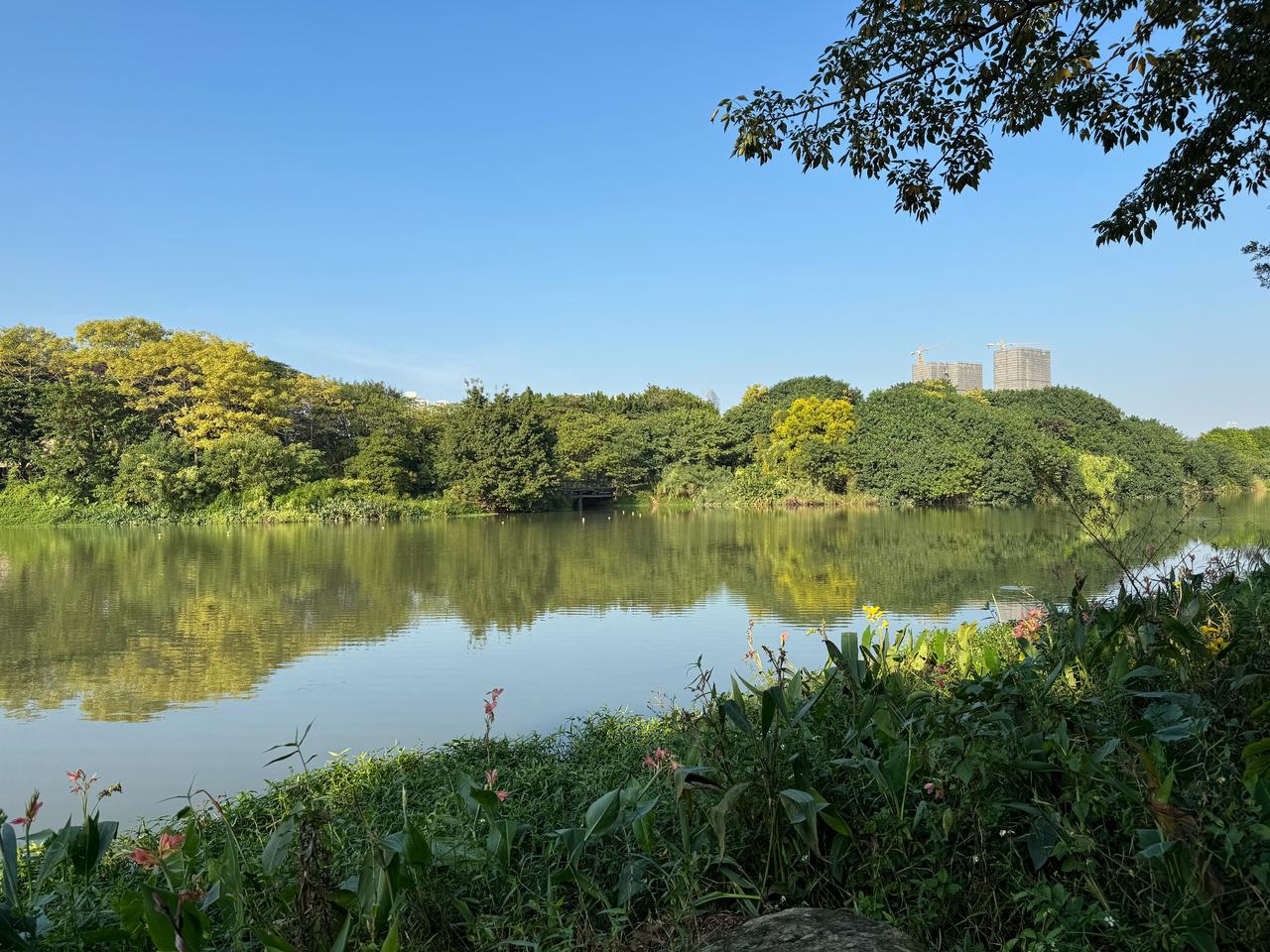 好久没钓鱼了，找个有河流的公园，坐在石头上听听鱼跳水的声音，听听鸟叫，拍拍照片，