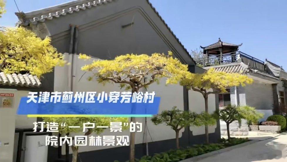 传统农家院运营模式比较同质化，蓟州区小穿芳峪村选取独特角度，确定了统一的青砖灰瓦