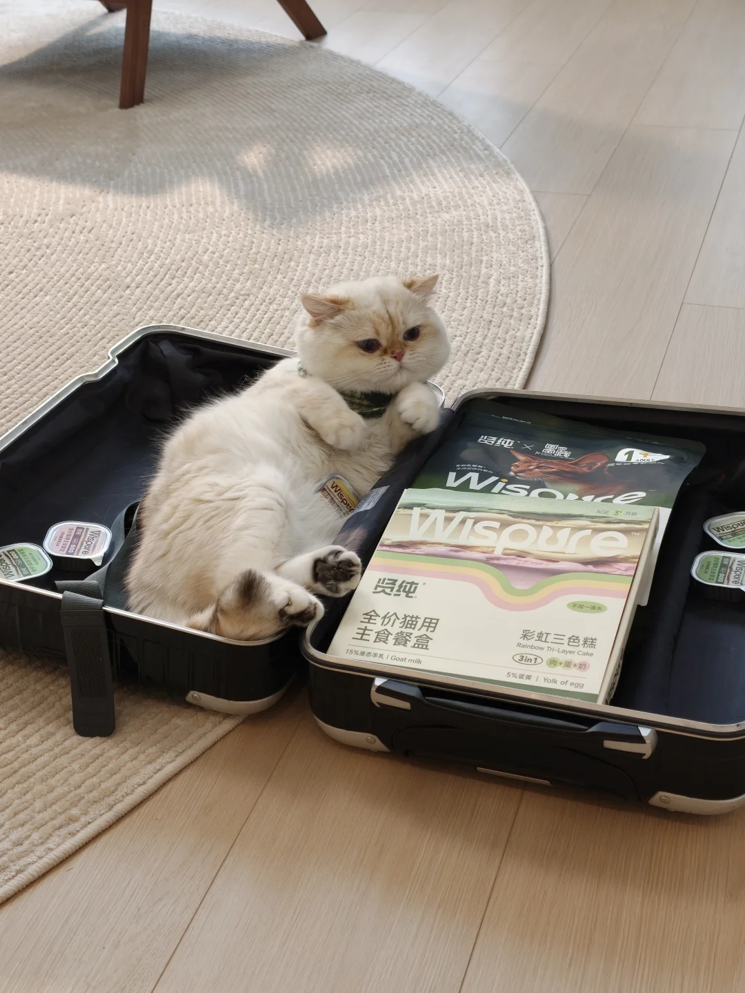 人，咪的行李箱以收拾好了~