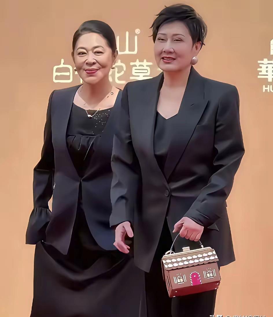 最悲哀的成功，是演活一个角色后，被观众当成犯人审判。
三十年前，张凯丽系上围裙，