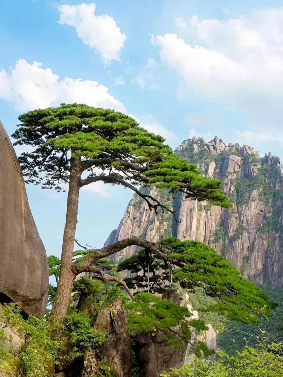 女朋友跟我吵架
离家出走了
打了九九八十一次电话
跟我说她在爬山
问她爬梧桐山还