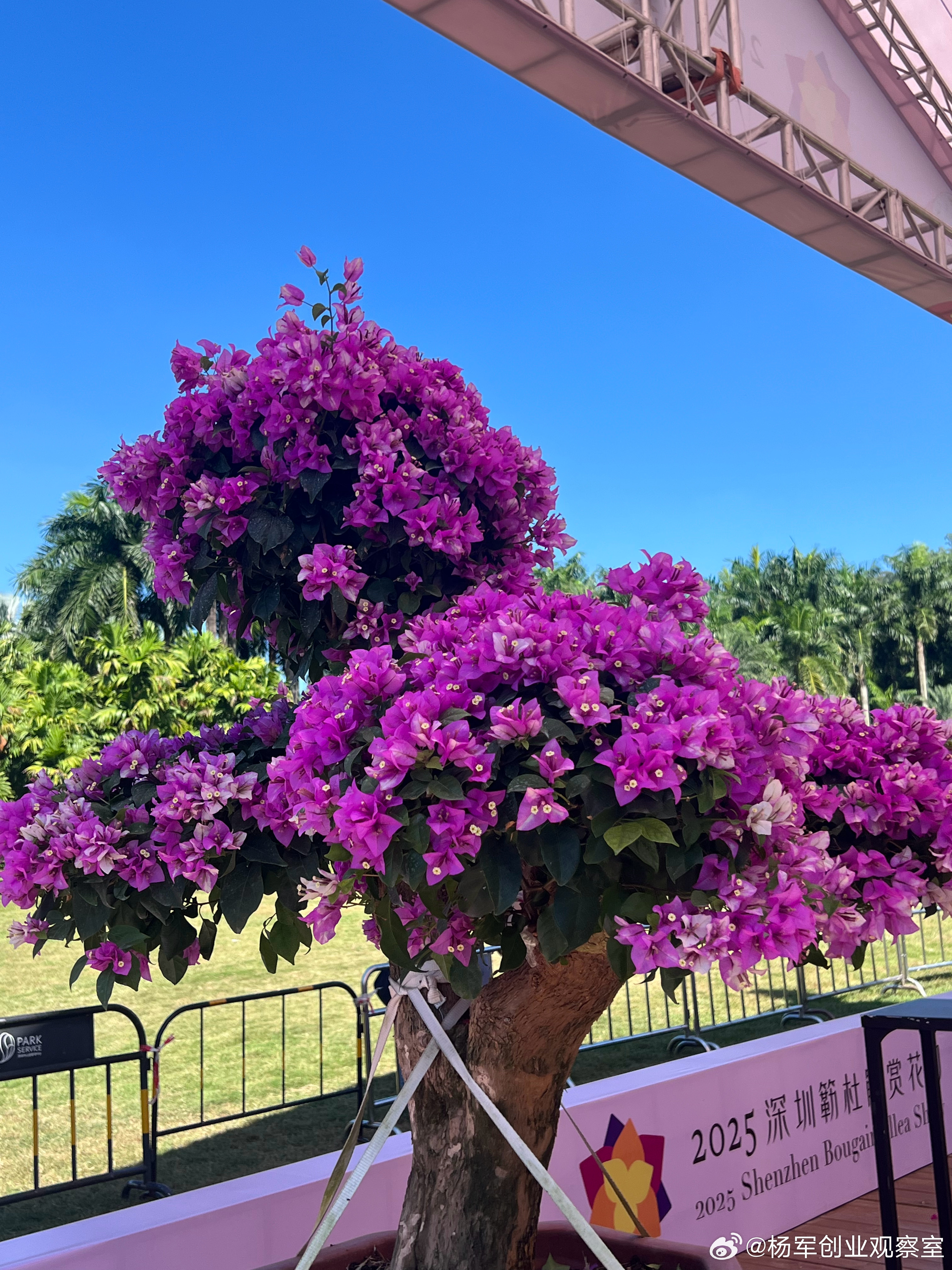 有股票代码的公司并不一定是上市公司，一定要小心！很多玩资本运作的把各地方交易所的