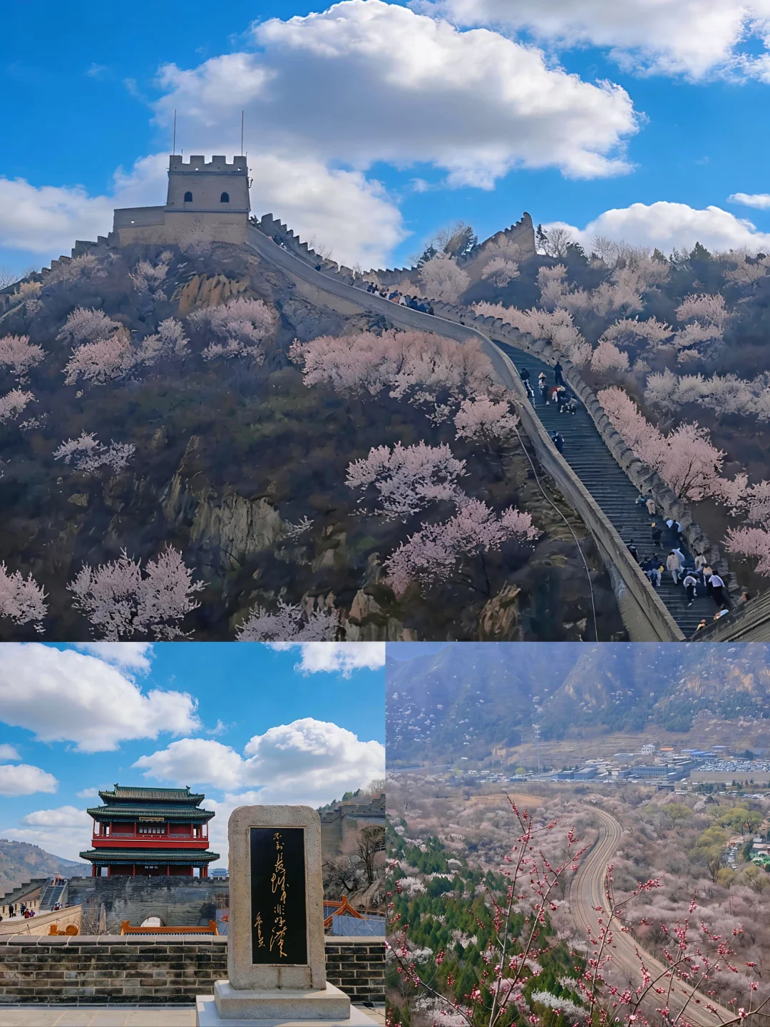 🌸开往春天的列车来啦！