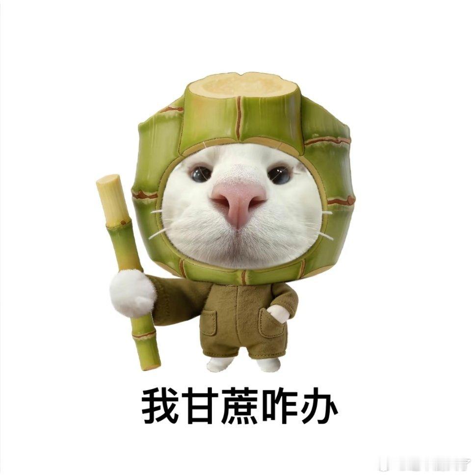 抽象表情包。一人安利一部动漫动漫点评团