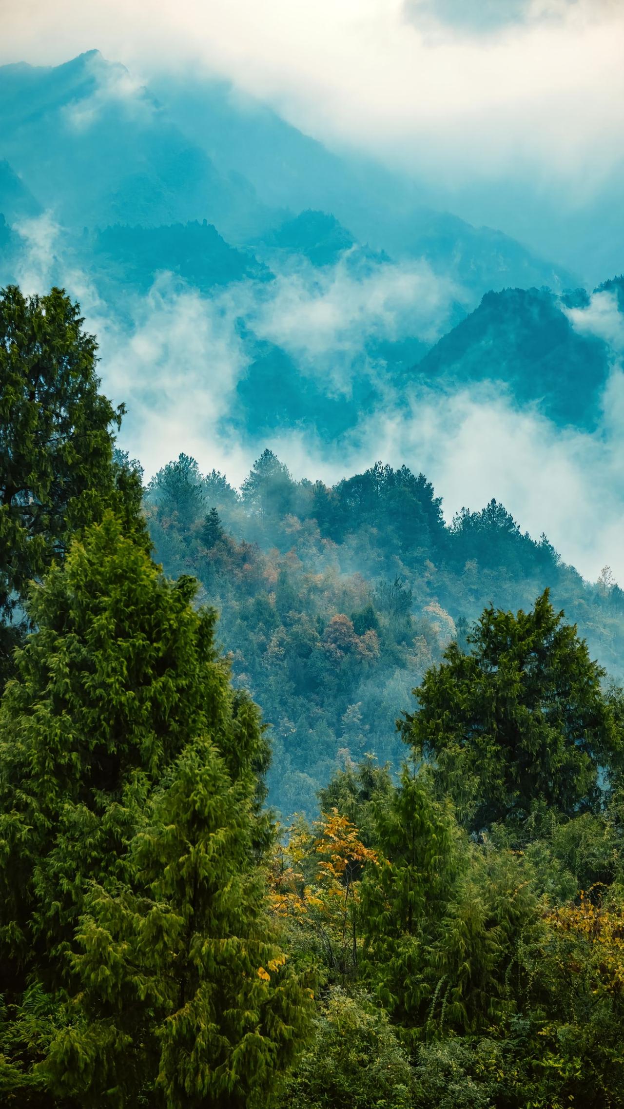 我期望地方的部分管理者切勿折腾企业，毕竟企业关乎工资，没有企业纳税，拿什么资金来