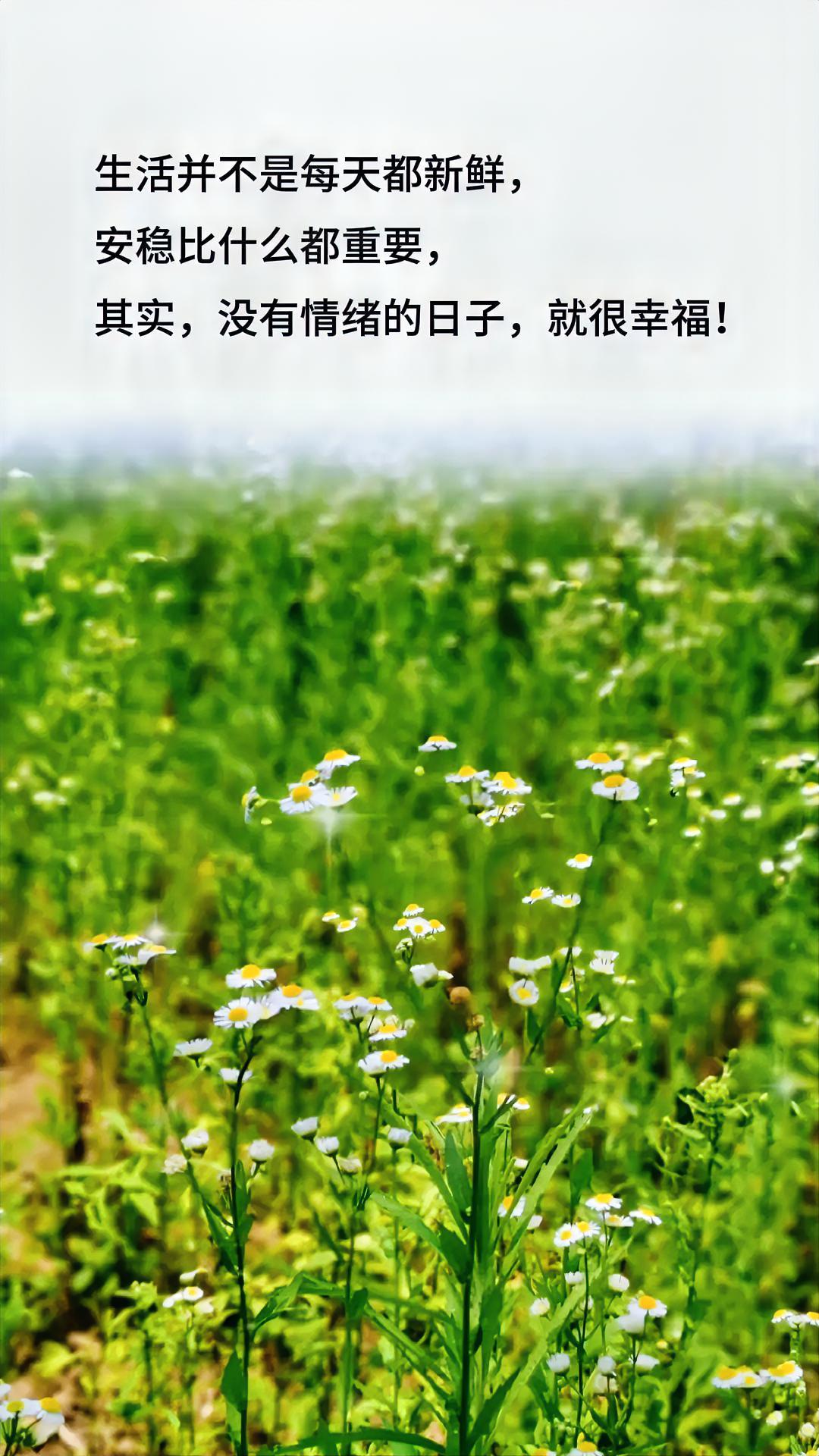 人生之苦，苦于执念，人生之难，难于放下，人心之烦，烦在计较，不要害怕失去，能失去