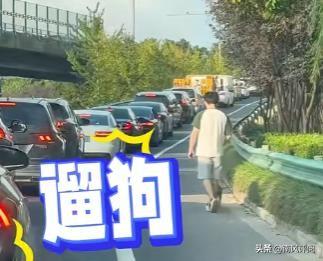 国庆出行再现“人在囧途”，高速路上花样百出！ 
国庆假期，众多民众选择自驾出游，