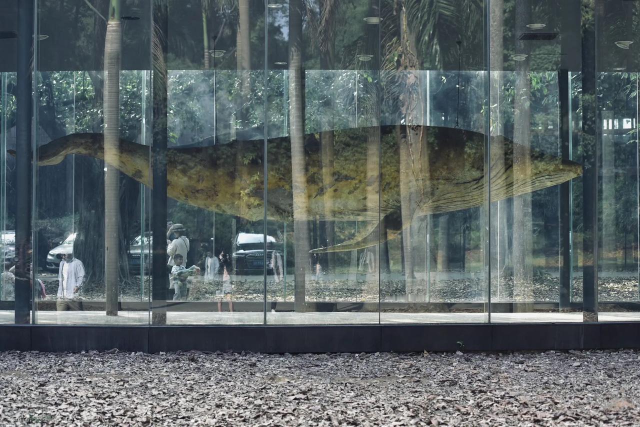 
不一样的公园，可以骑马，看老爷车，不有各种小吃