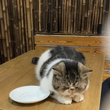 酥丸热读科技
