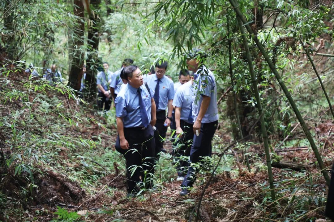 【平安是福】将法治融进青山绿水