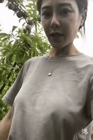 家人们，李子熟了，可以来摘了