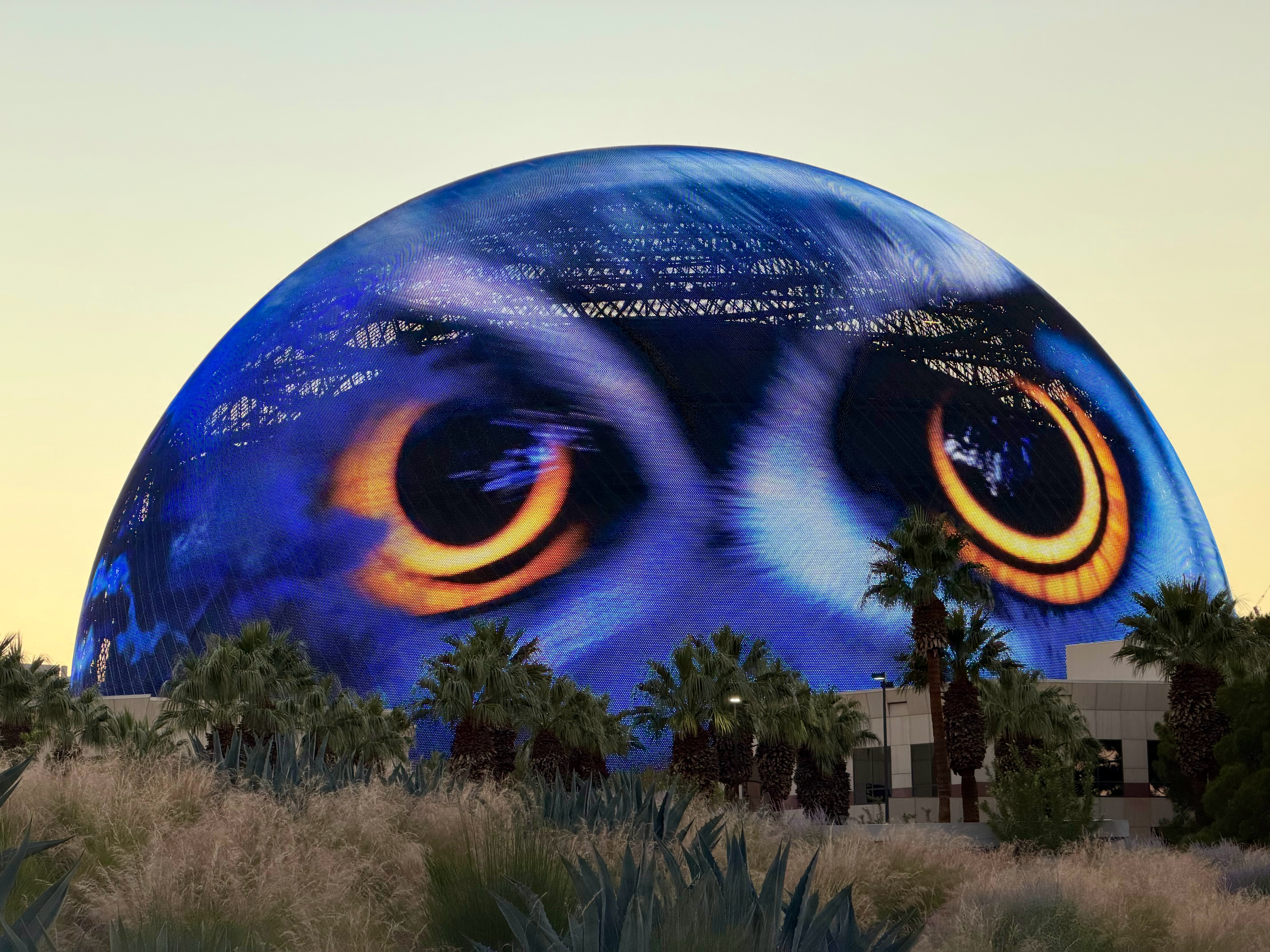 就要告别这可爱的小球了，如果有机会，一会再回来看一次  ​​​