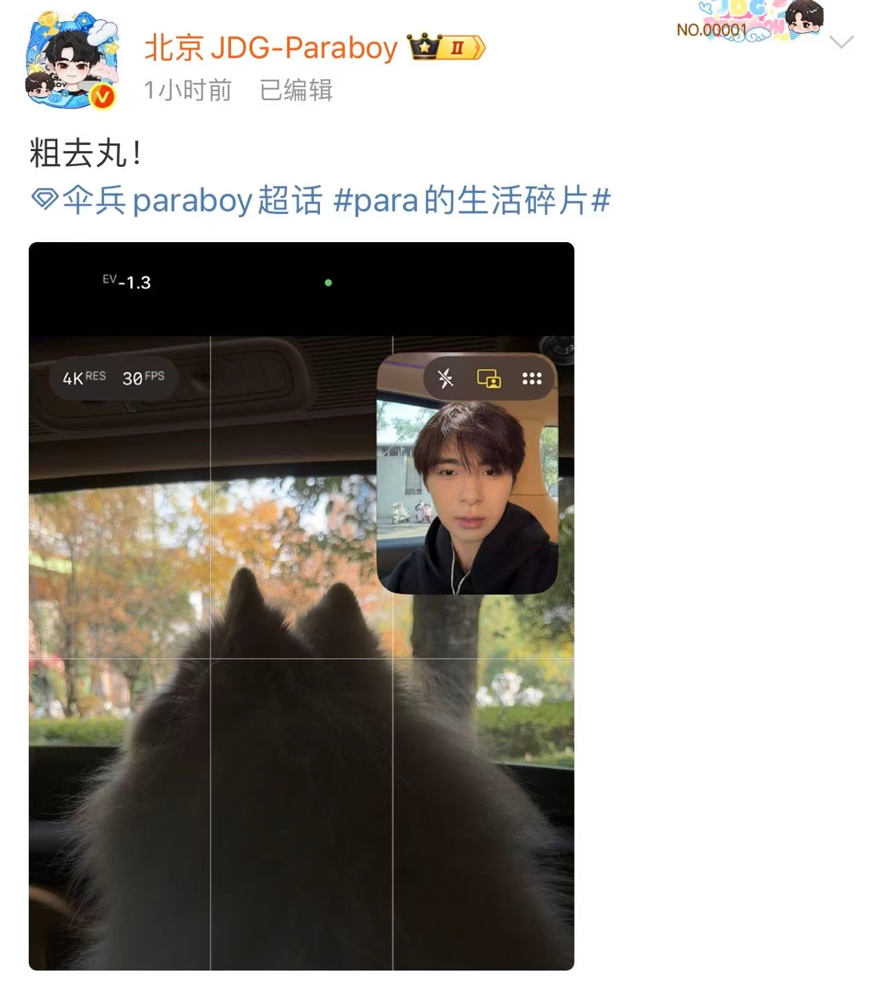 天气好就是该出去玩呀！ 