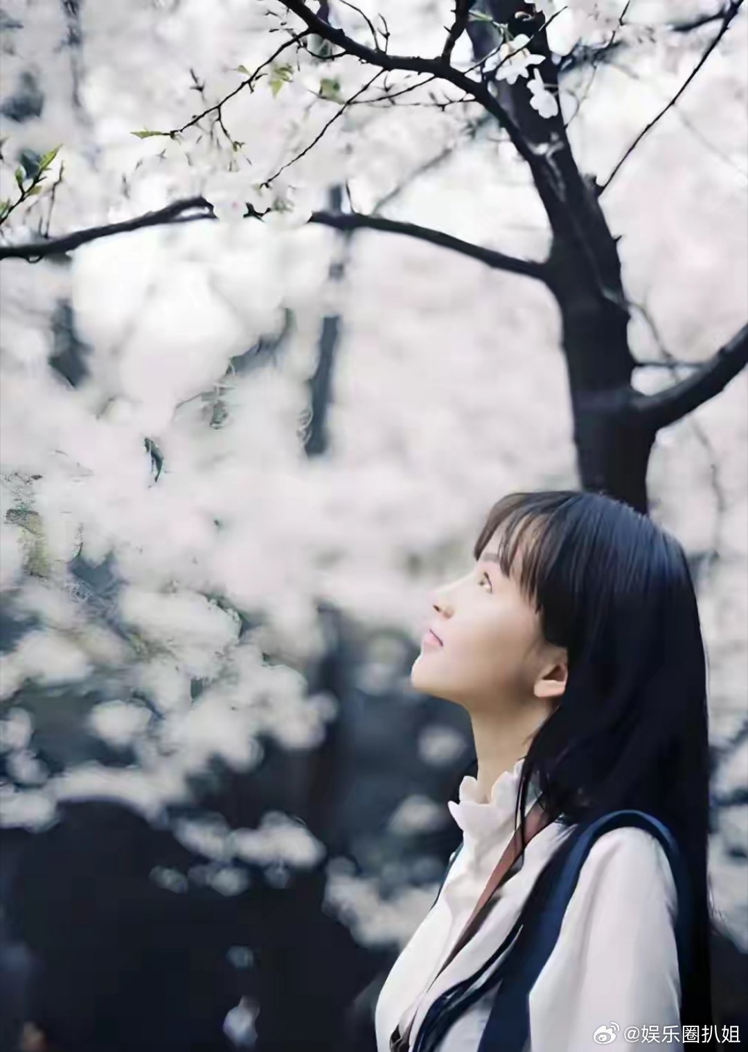 黄灿灿早期武大樱花树写真黄灿灿在武汉大学时曾参加“星耀女神”评选，凭借一组樱花树