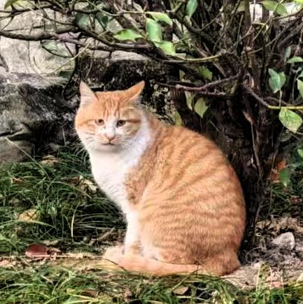 一看这个小东西就会想到网上那些搞笑的视频，现在的小东西们是都成精了吗？每个动作，