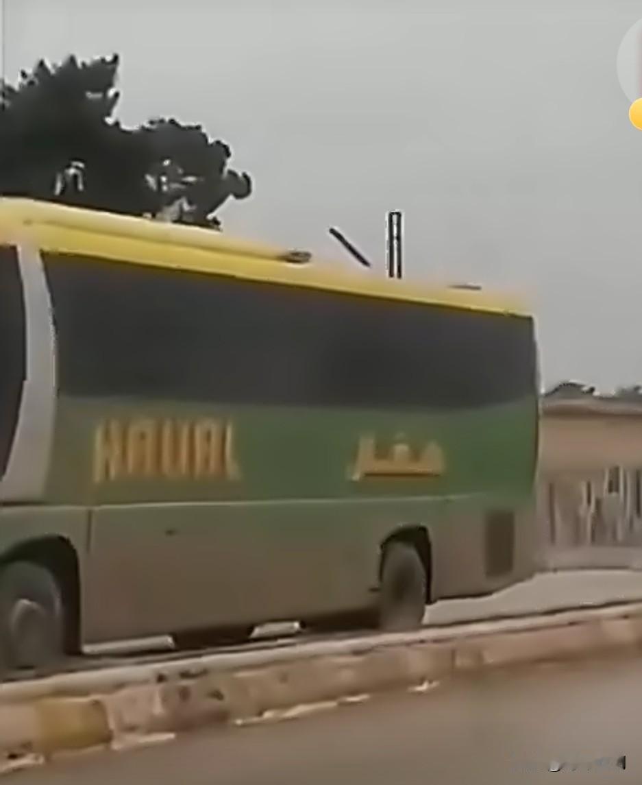 美军已开始从叙利亚东北部哈塞克省的沙达迪基地撤离，向伊拉克库尔德斯坦地区的埃尔比