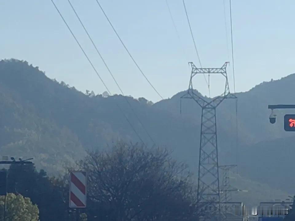 晒图笔记大赛 参加晒图笔记大赛啦！春日里，我骑着单车追光，闯入渐次晕染的绿壤。花