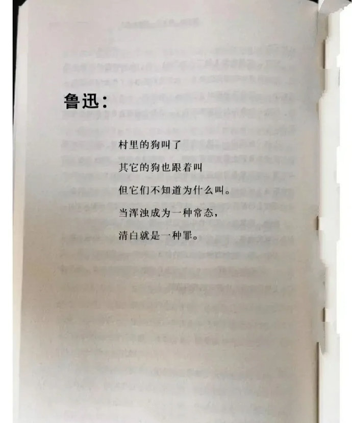 鲁迅骂人不带脏字 ​​​