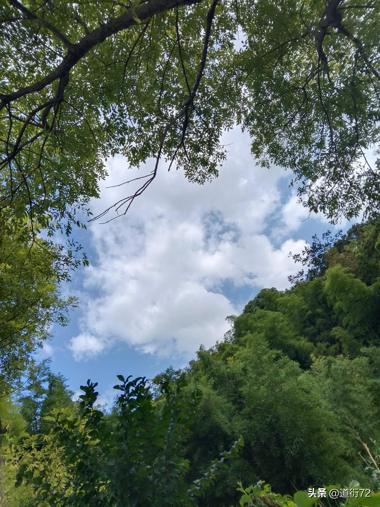 北京有位视频博主“肥猪满圈”老李，专门去大型商超采购了一批蔬菜，照着网上说的法子