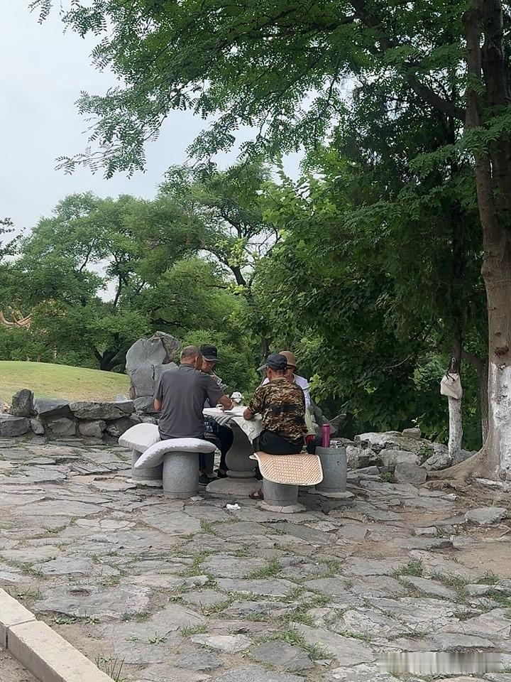 每天下午，我都来公园遛狗，

公园里人不多，我会把狗放开，让他俩在草坪里欢快地跑