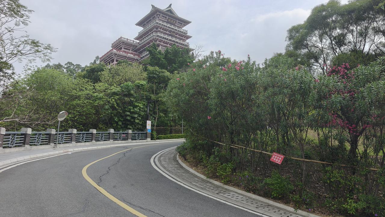 晒晒佛山的城市风光我在佛山的农村租房住差不多有20年了，下面的照片就是我租房那个