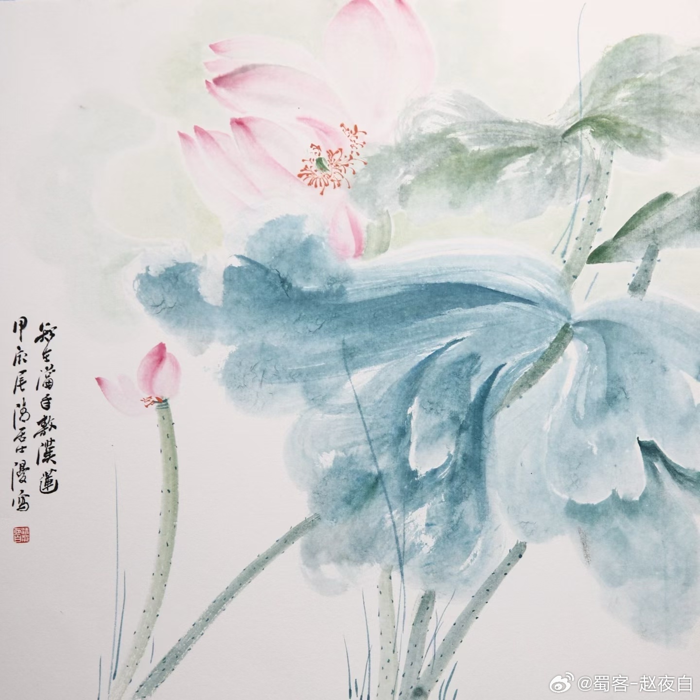 清邻居士写荷； 