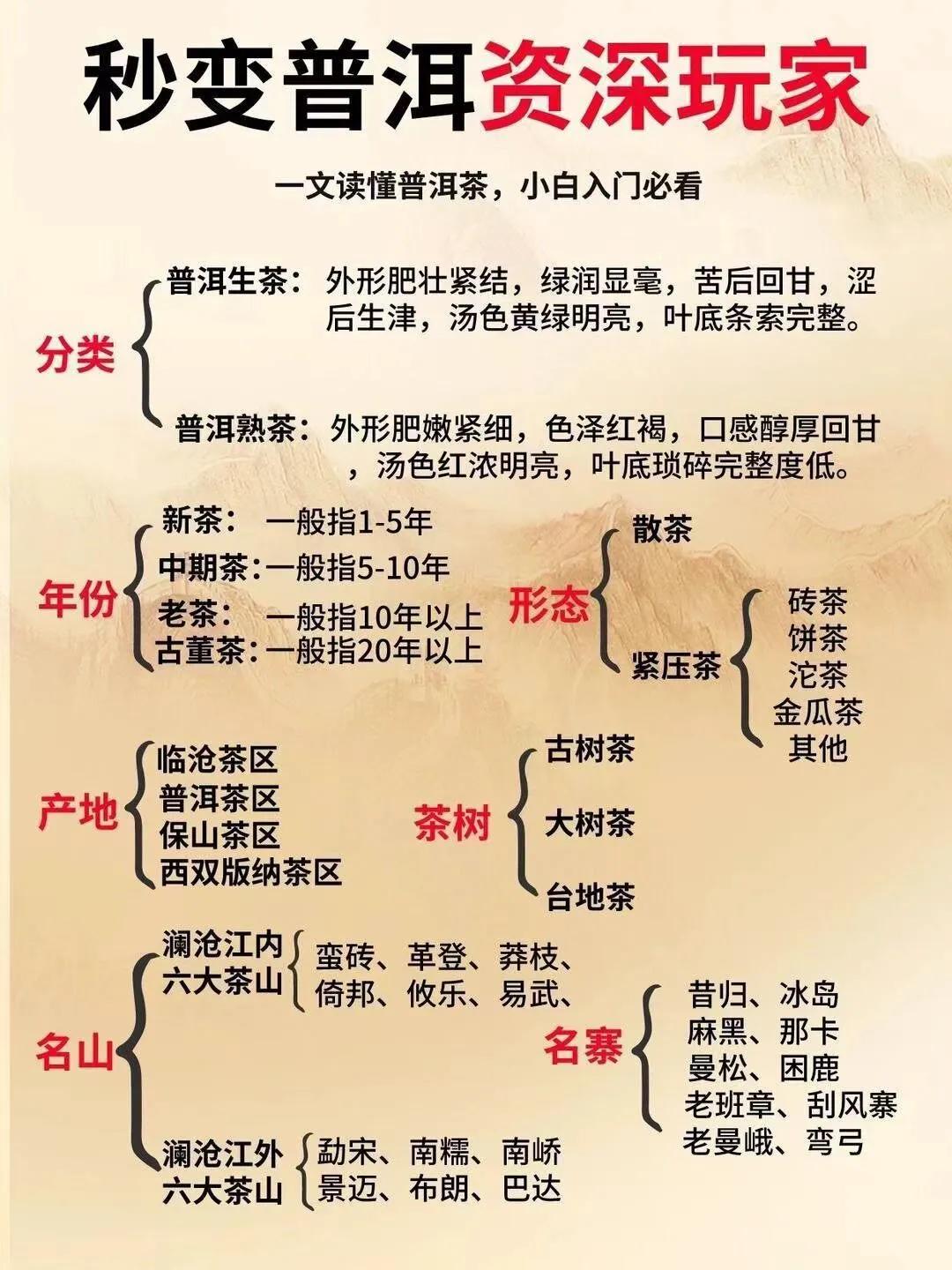 读懂普洱茶☕
#普洱茶#