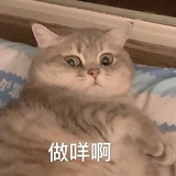 小跑聚聚娱乐
