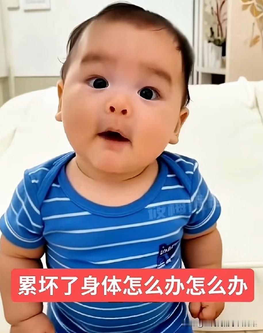 哇塞，你看马小梅孝顺吧，因为大家喜欢他，大家给汪宝宝制造的视频。是孝顺和智慧型。
