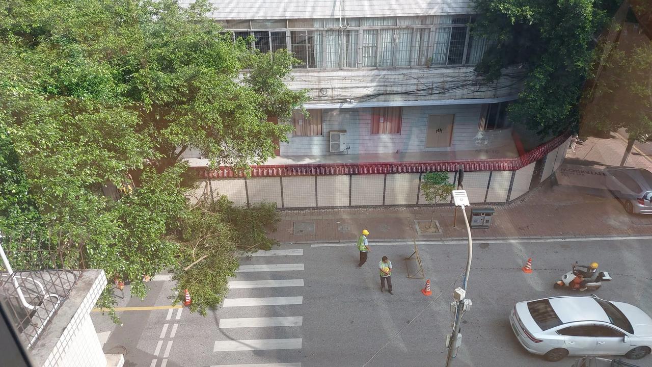 工人们在修剪路旁大树的树枝，各位工人辛苦了[赞][赞][赞]