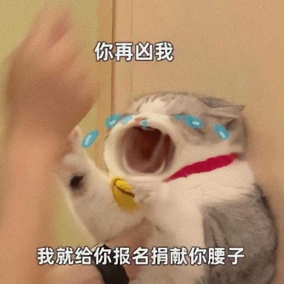 你再凶我，我就报名嘎你腰子。哼哼！#表情包 #创作灵感