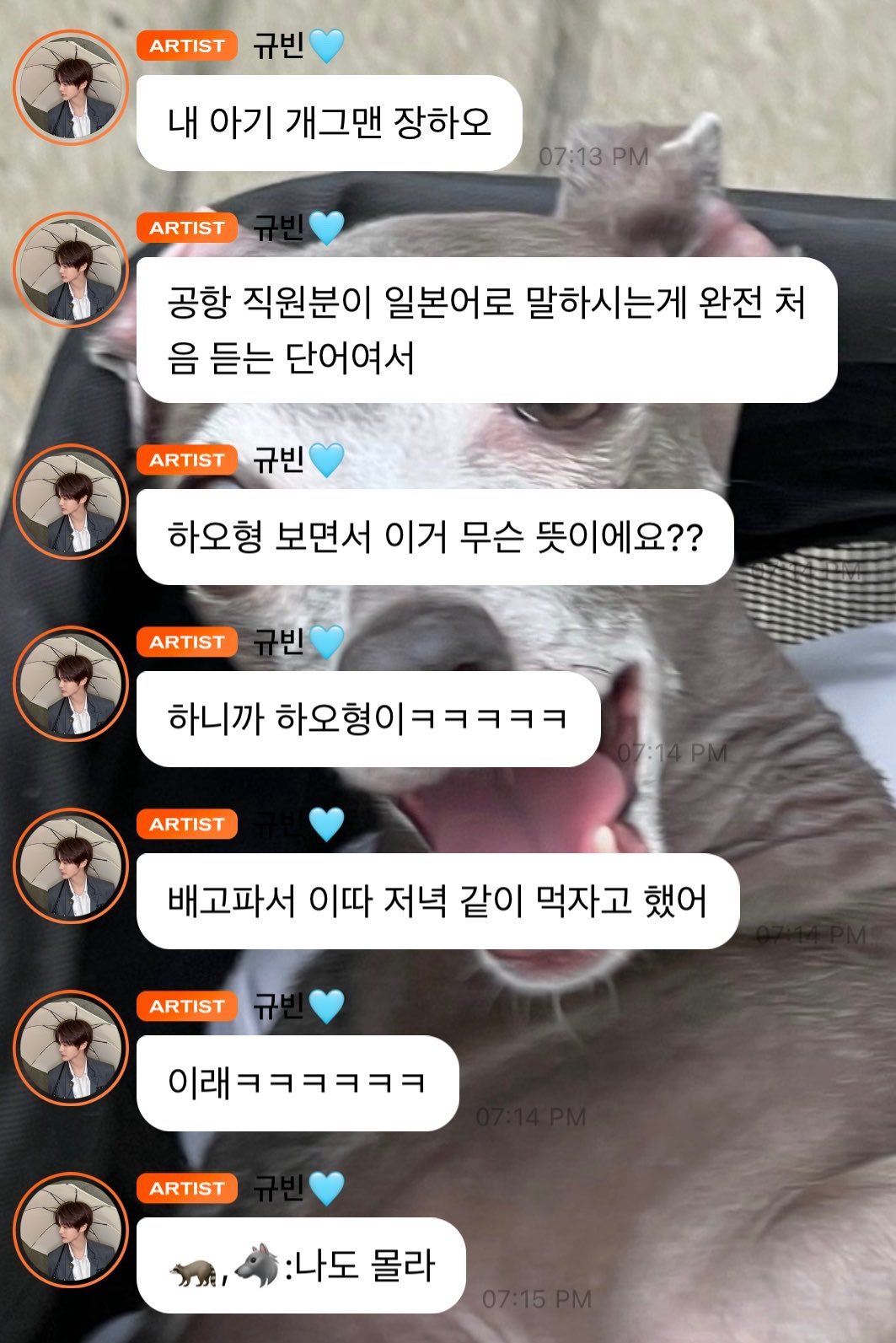 奎彬pc提及 我就只是想着吃了🥺🐽🐶我的宝宝搞笑艺人章昊🐶机场工作人员说