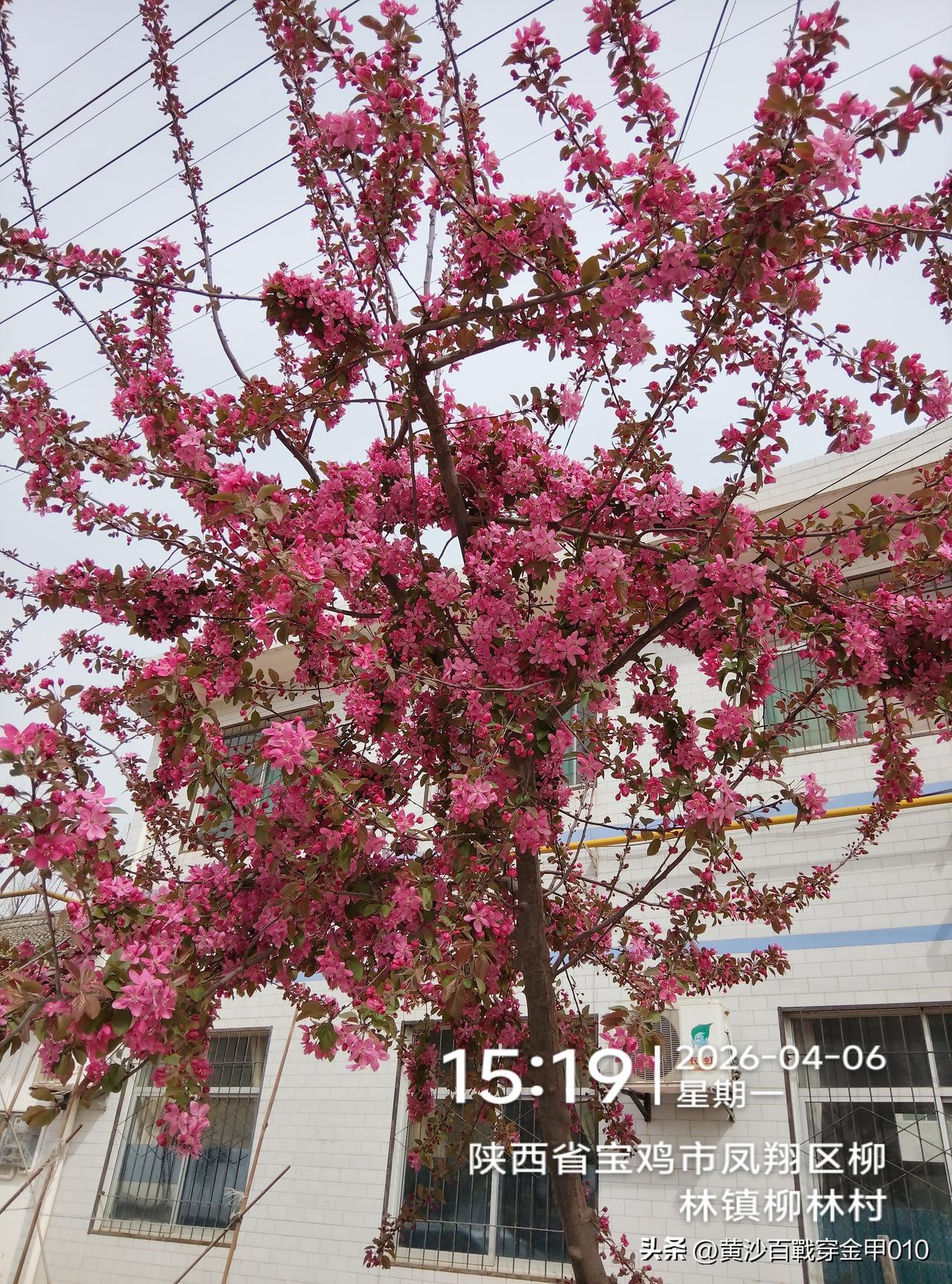 为啥这么多人答错呀？
沒上過学@