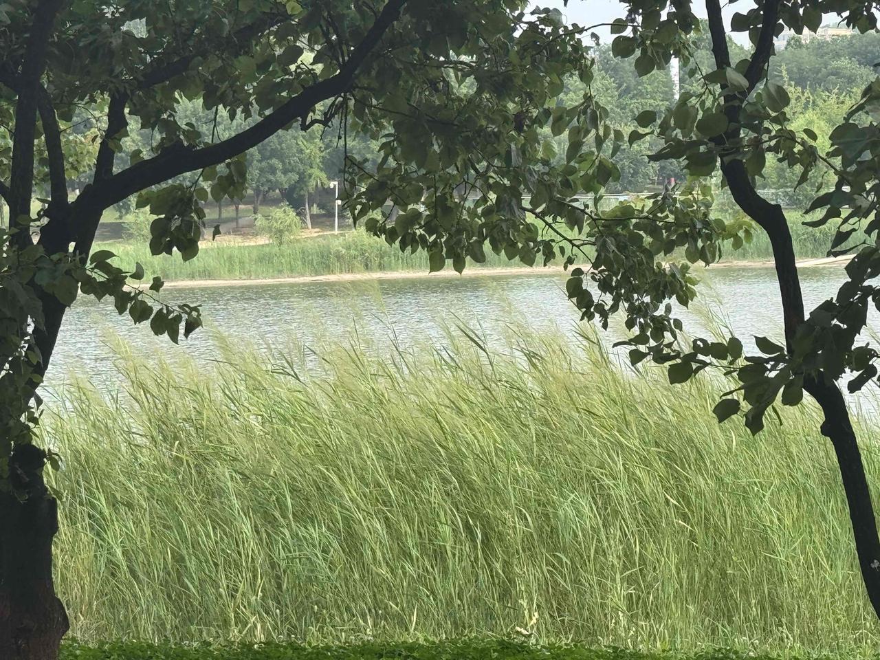 今天和朋友聊老人在医院的事儿，不由得想起了老爸住院的场景，满眼夯满了泪水，清晰的