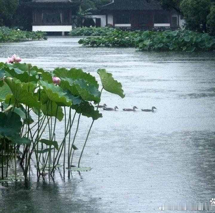 事关学历和学历背景，这学历和学历背景在现实社会里是存在有一定之歧视的，且这种学历