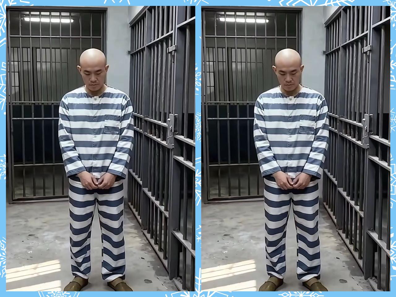 终于落幕了金毛生命定格在12月4号了
现在金家也是乱的一锅粥
不愿接受现实却无力