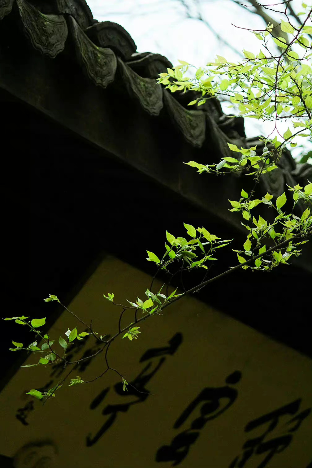 一个人在精神上足够成熟，能够正视和承受人生的苦难，同时心灵依然单纯，对世界仍然怀